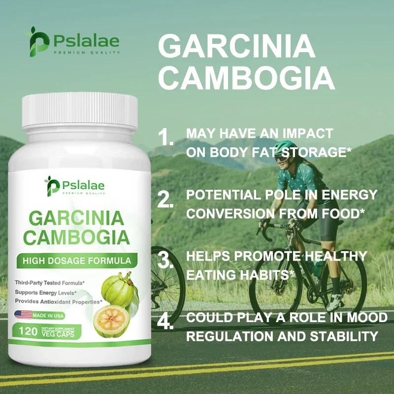 Garcinia Cambogia - Pembakar L - Garcinia Cambogia Extract ulasan dan harga